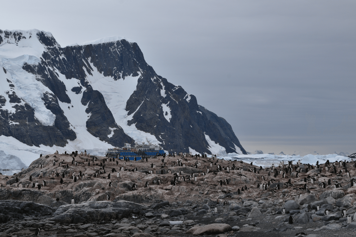 世界一周 day312【南極編③🇦🇶 南極で遂にペンギンとご対面】~世界