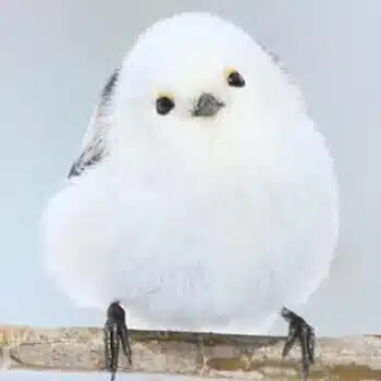 貯金が好きなシマエナガ