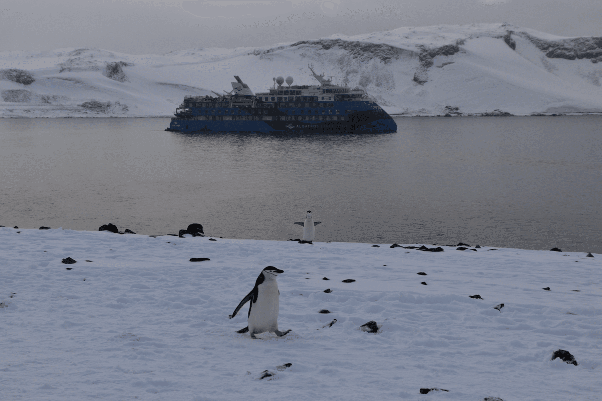 ペンギン 9784861488627_1_3.jpg