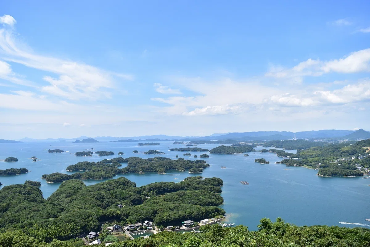 画像12