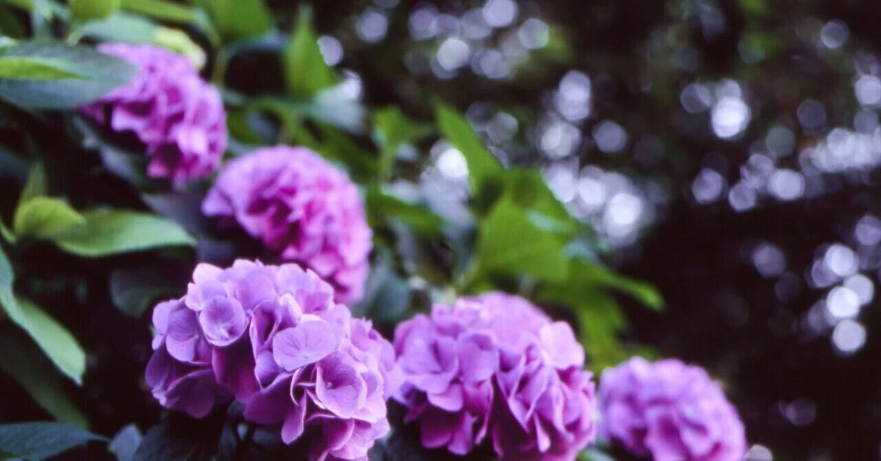 How to break free from the feeling that 'in the end, nothing remained ...