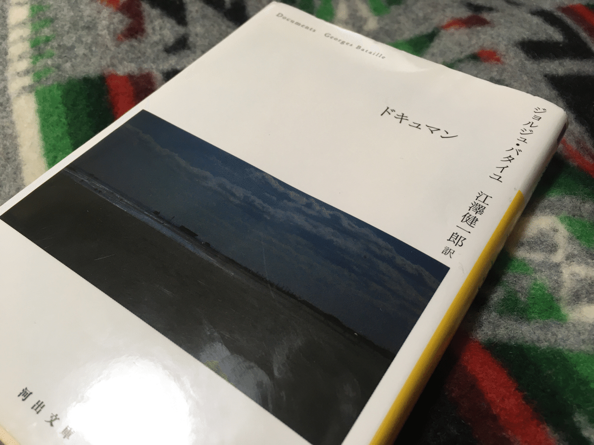 【裁断済み】ジョルジュ・バタイユ 13冊セット Amazon.co.jp: ドキュマン (ジョルジュ・バタイユ著作集