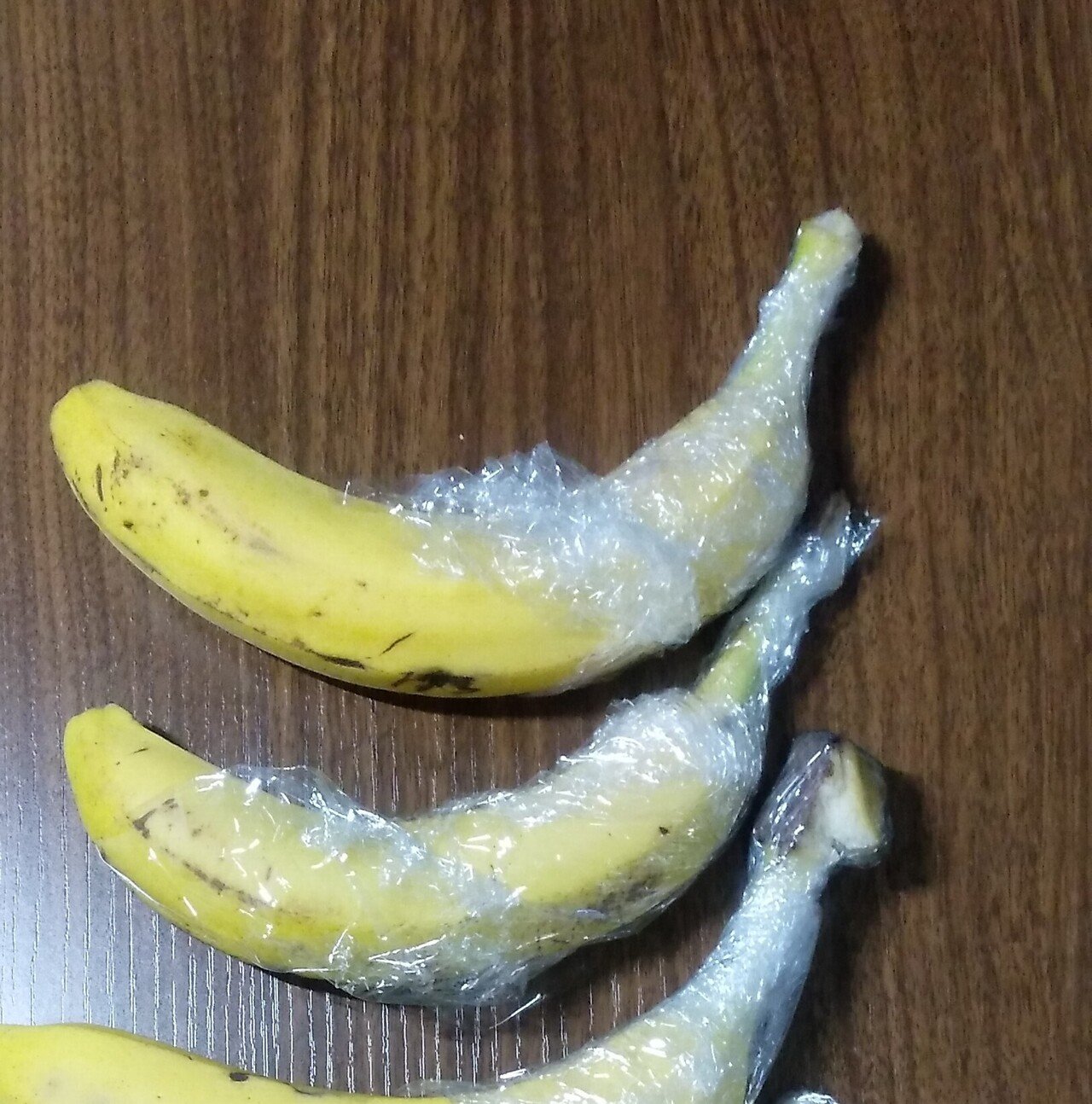 バナナスラッグに出会いました | 小笠原流・若日記, image size:1280x1294