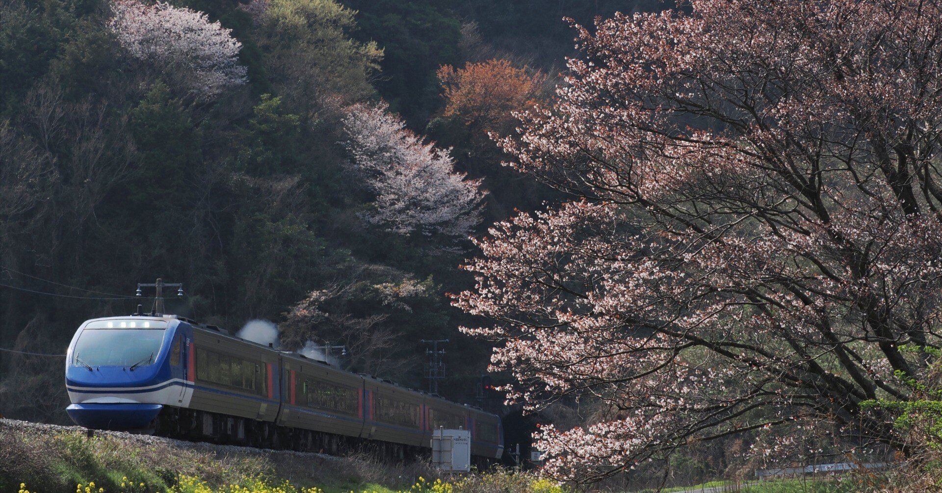 1/150 ジオラマ風景「新旧路線が共存する富山の情景」 再入荷！】 1/150 ジオラマ風景「新旧路線が共存する富山の情景