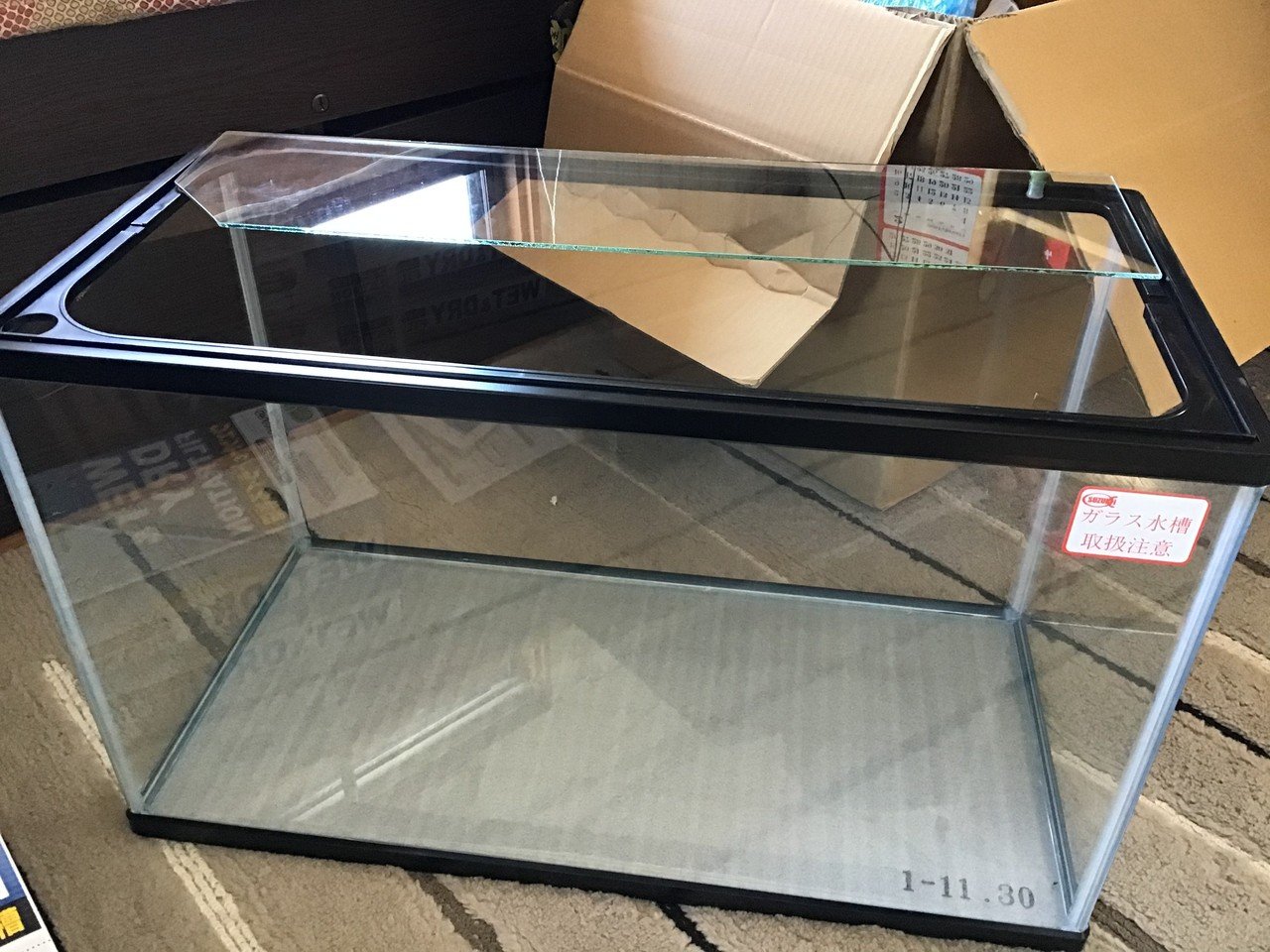 水草ストック水槽立ち上げる ゆーいちの水槽部屋 Note