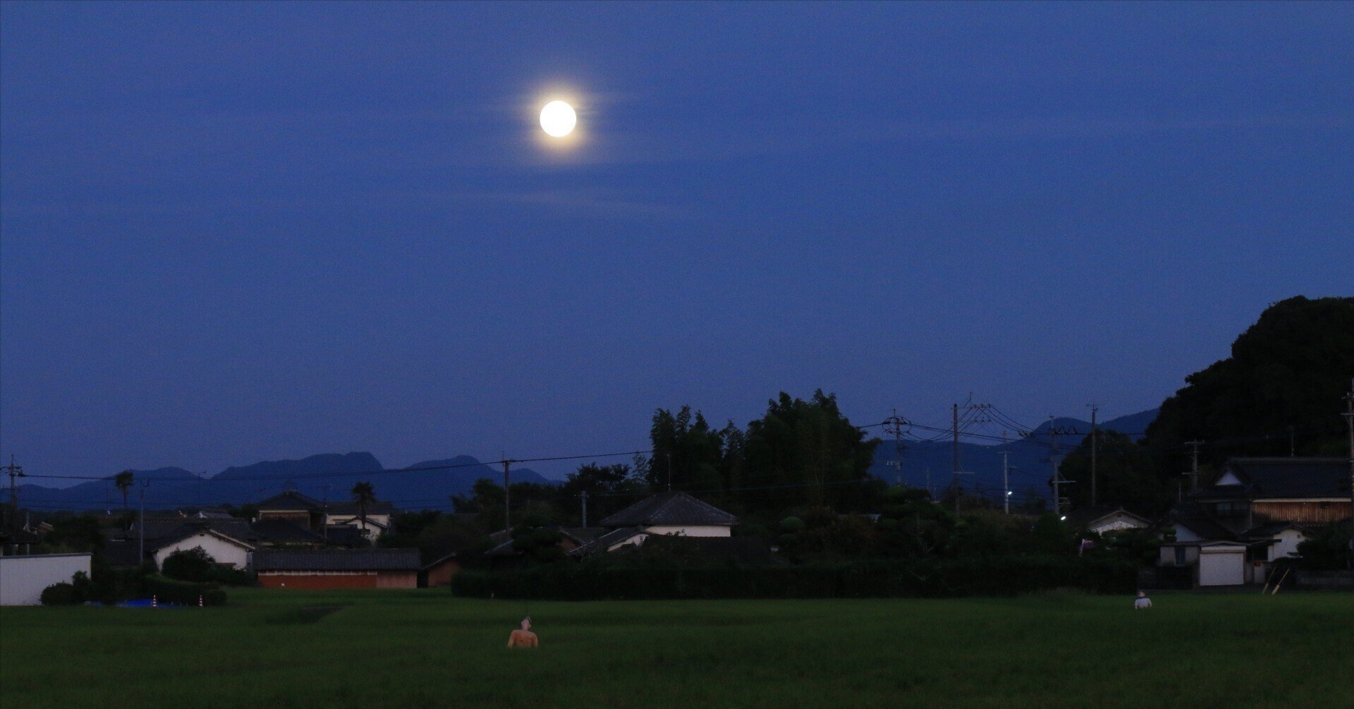 自然農法の補足