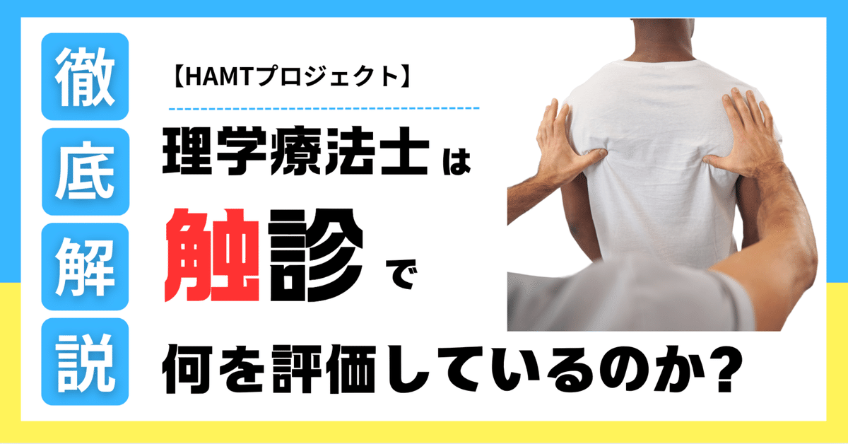 徒手】理学療法士は「触診」で何を評価しているのか-動作と連動