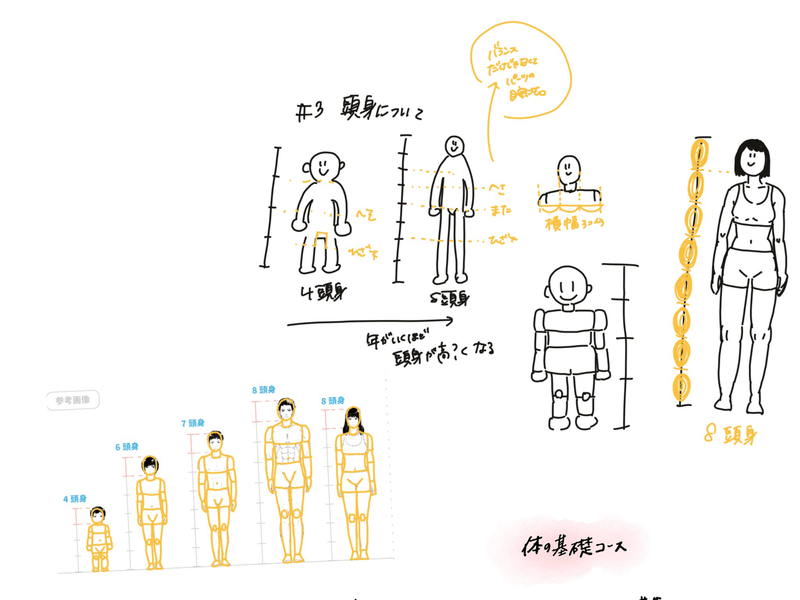 イラスト練習 頭身を意識する まつい まこ Note