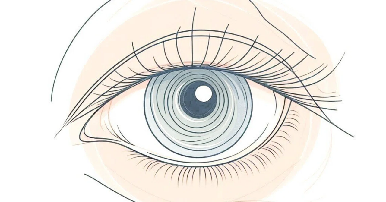 【よくわかる生物】 ④眼球の仕組み｜まぐ