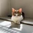 たまき