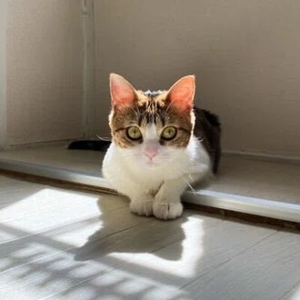 たまき