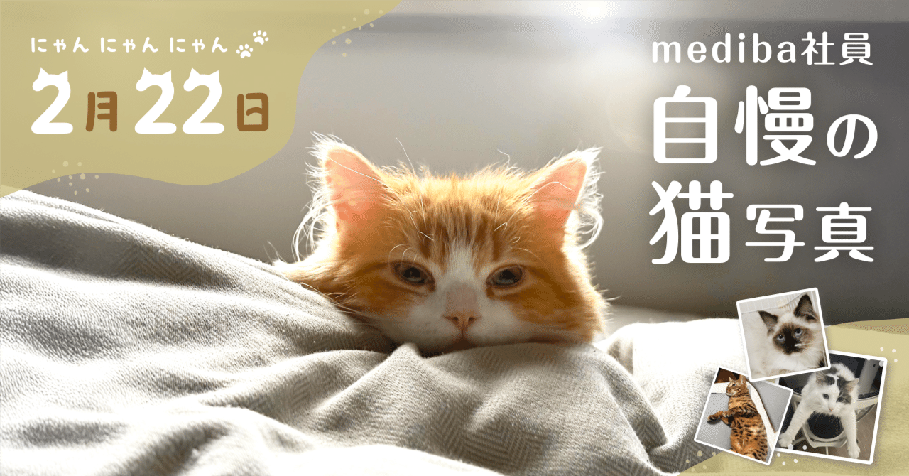 2月22日は「にゃんにゃんにゃんの日」！集まれmediba社員自慢の