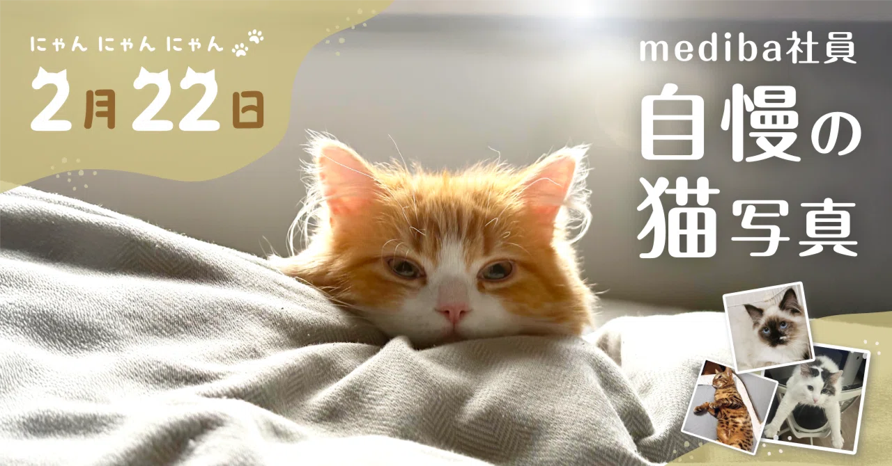 2月22日は「にゃんにゃんにゃんの日」！集まれmediba社員自慢の猫たち【2025年版】｜株式会社mediba
