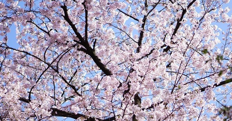 大きな失恋から立ち直れた理由は 友達でも仕事でも新しい恋でもなく Saayoo345 柴田佐世子 Note