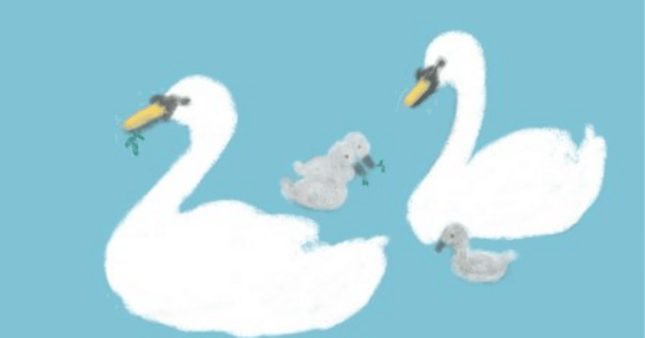 白鳥とおじいさん｜くるみりす