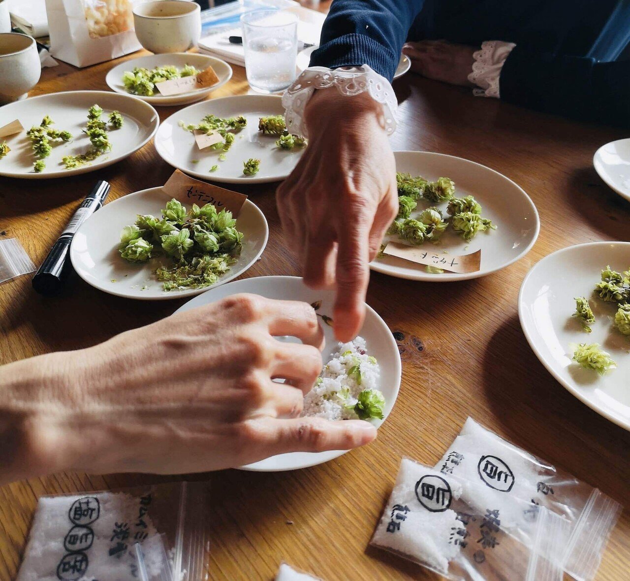 ホップソルトが出来るまで⑤「ソルトコーディネーターの青山志穂さん