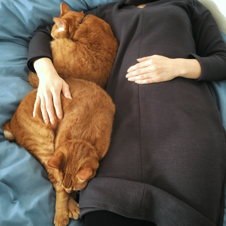 ネコが寝正月で、ママ「肩こるわ～」。ママの右肩、休みなし。