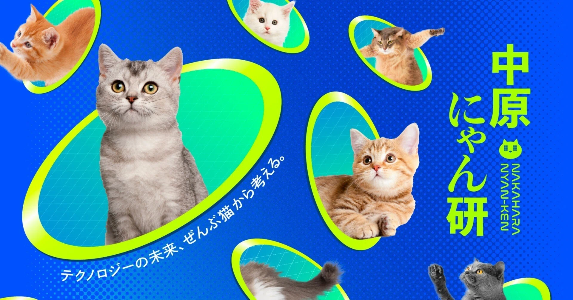 中原にゃん研”始動 ―テクノロジーの未来、ぜんぶ猫から考える 中原にゃん研”始動 ―テクノロジーの未来、ぜんぶ猫から考える