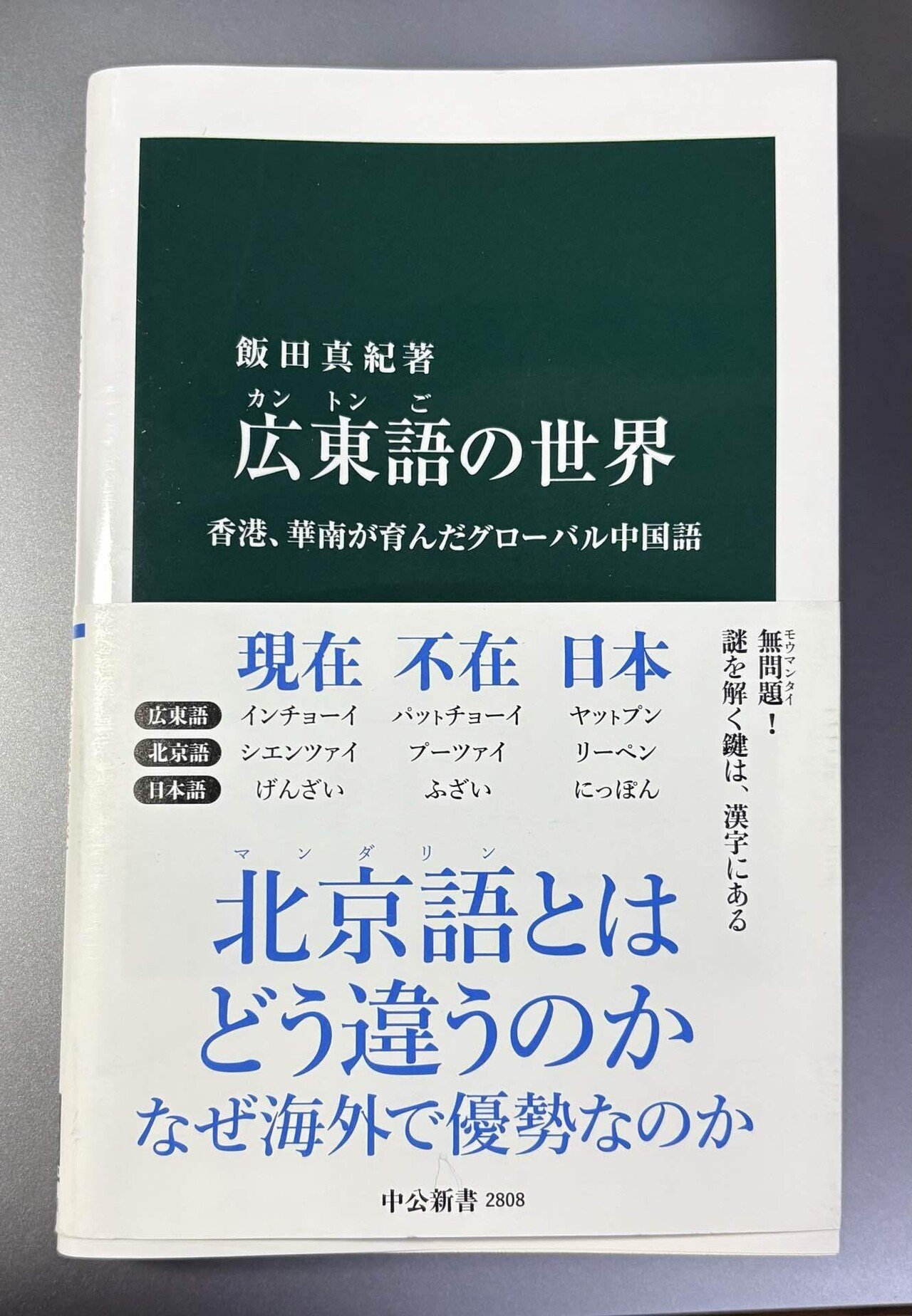 広東語の風景—中国語方言の多彩な世界 Amazon.com: 広東語の風景―中国語方言の多彩な世界