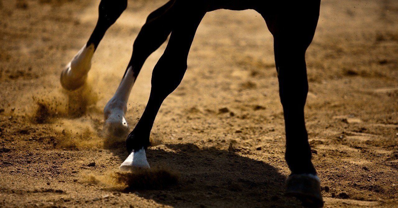 ダート馬を理解する前に ダートコース を知る 一口馬主マスターb Note ダート馬を理解する前に ダートコース を知る 一口馬主マスターb Note