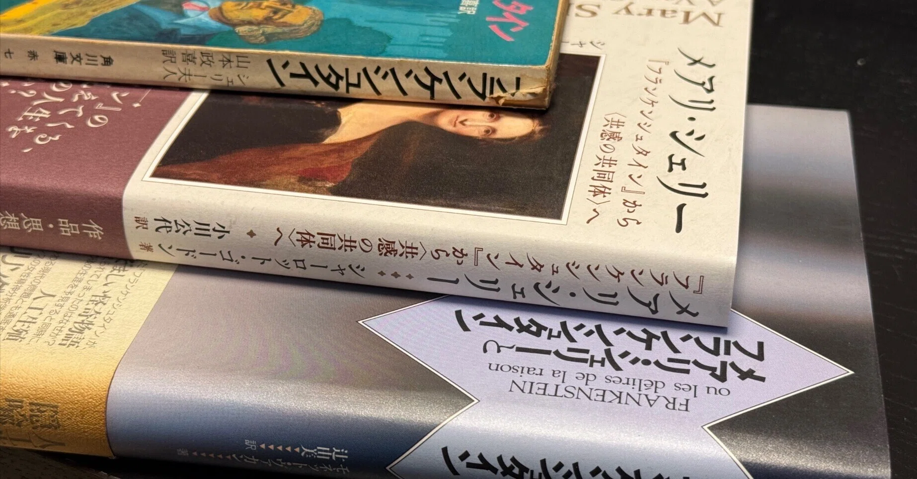 洋書）アリソン・マックウィーン、レンブラント研究書（基本文献） 読書】メアリ・シェリー 『フランケンシュタイン』から〈共感の共同体