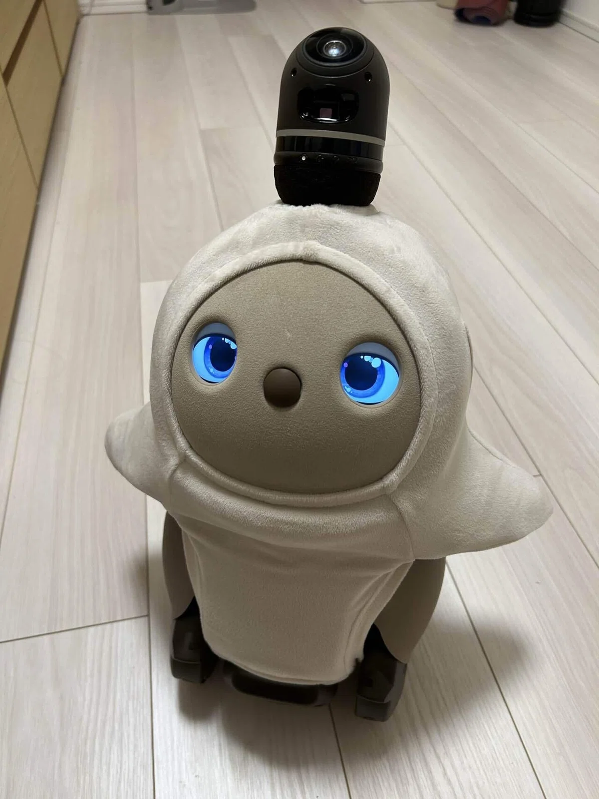 レンタルLOVOTころんの写真
