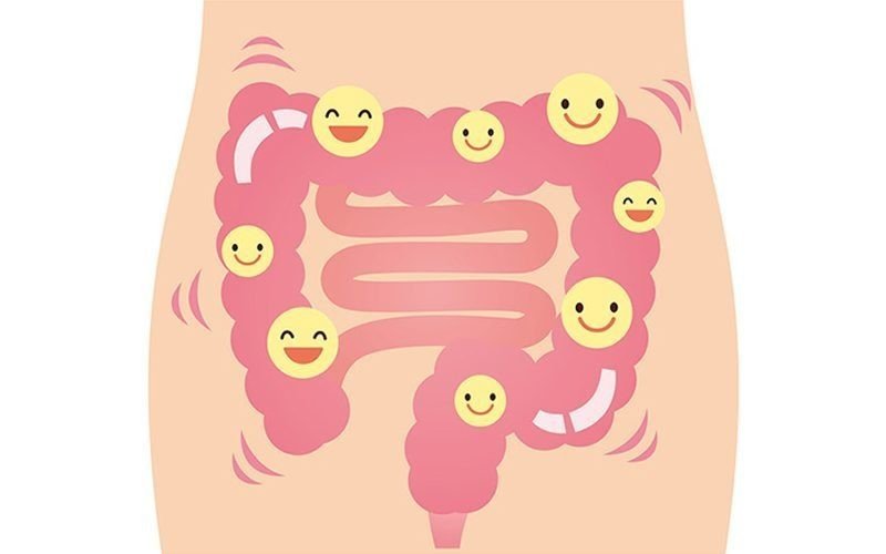 栄養学 侮れない 凄すぎる焼き芋の実力 U Life Science Lab Note 栄養学 侮れない 凄すぎる焼き芋の実力 U Life Science Lab Note