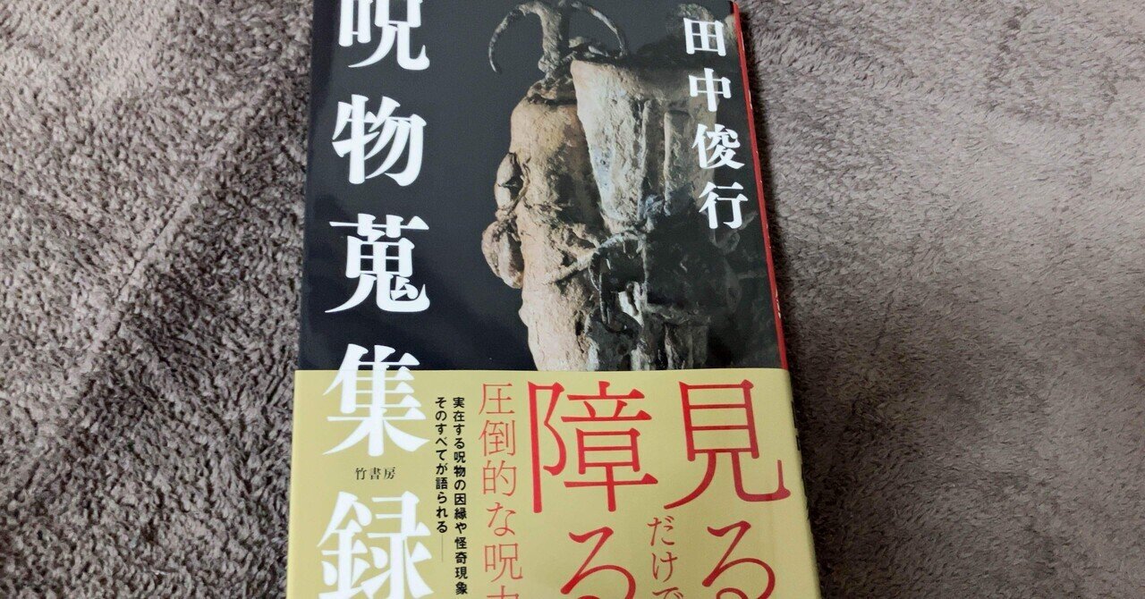 読書ログ】呪物蒐集録 田中俊行｜ばぶさん
