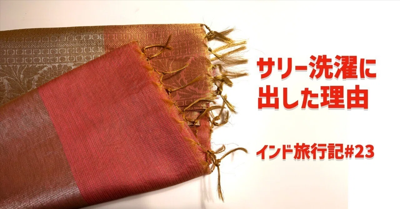 サリー洗濯に出した理由｜インド旅行記#23｜サリーびと ・アビヤンガ