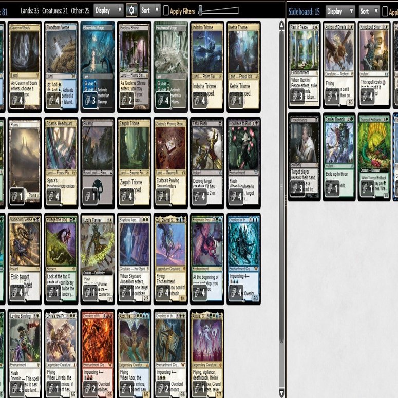 パイオニア(~DFT)】2/14 Challenge優勝(奇怪な具現/4-2+SE優勝) ｜ama