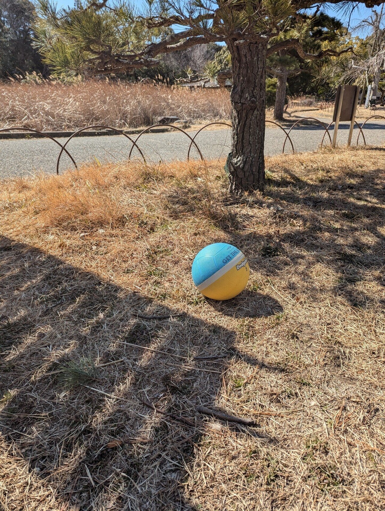 【落とし物】ボール｜plus+