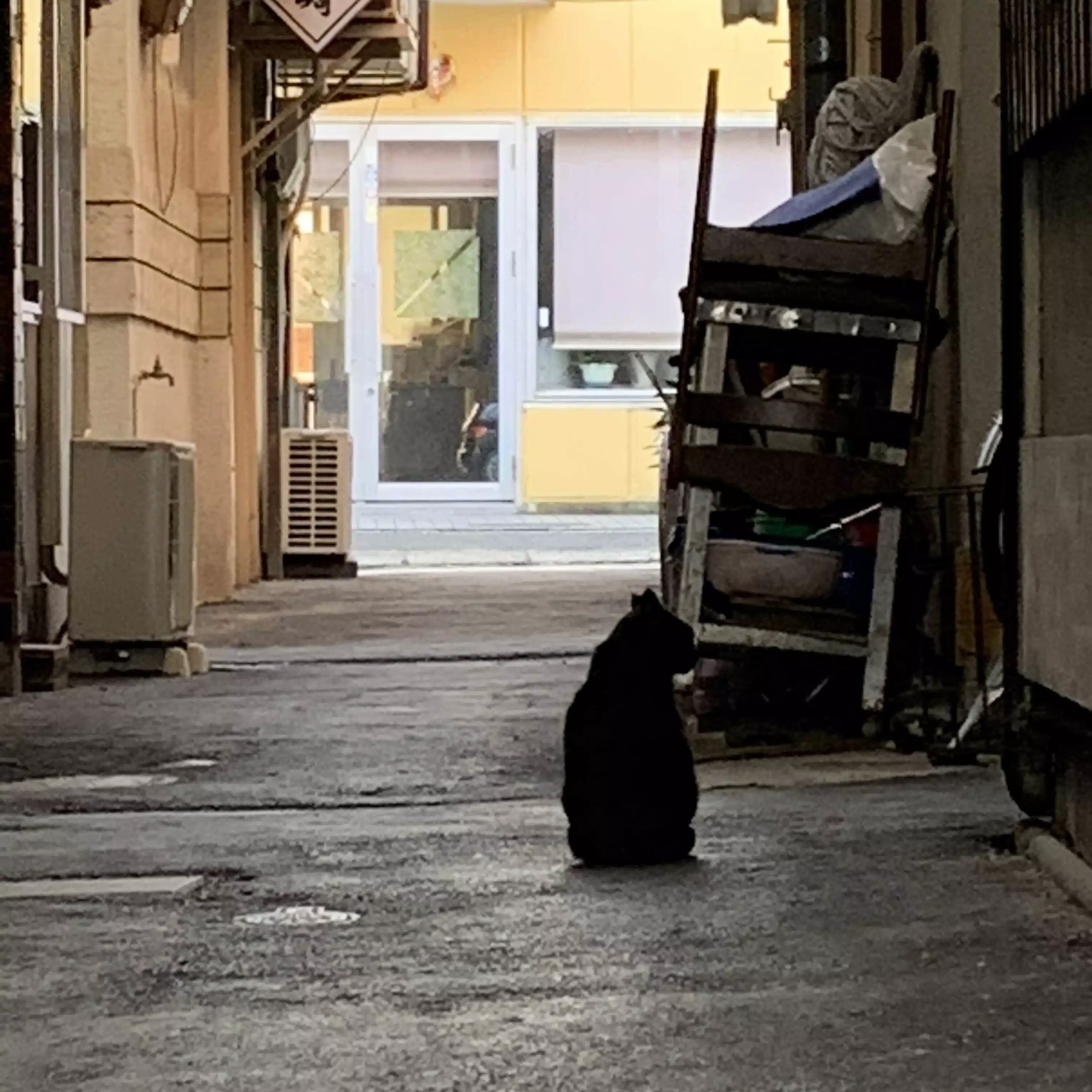 さわ