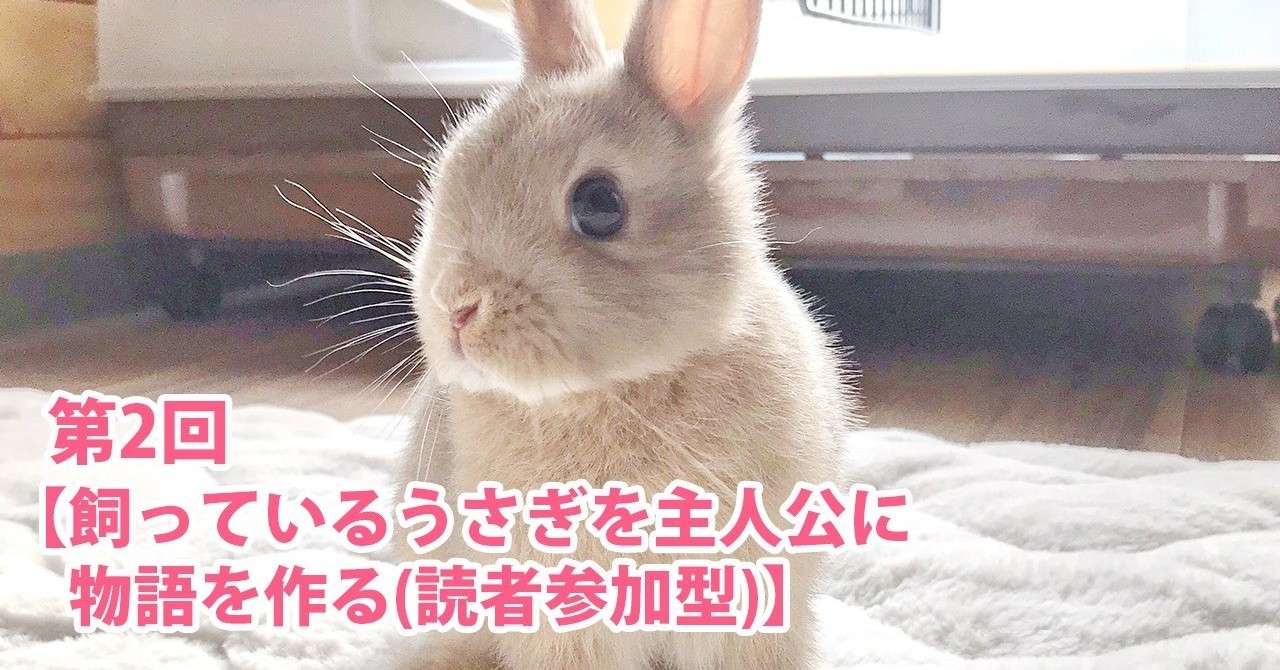 第2回 飼っているうさぎを主人公に物語を作る 読者参加型 Note0017 イラストレーターryo Note