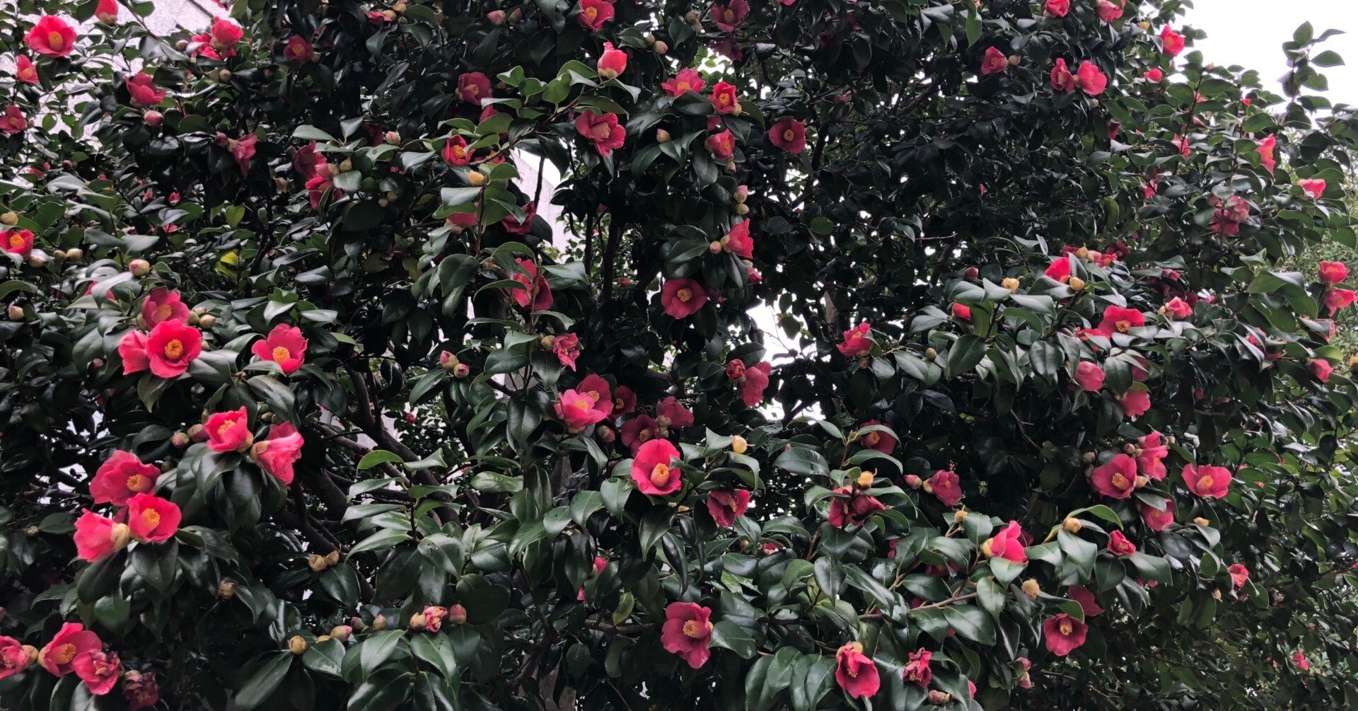 9eec7fc7650005506abf552f1f6851