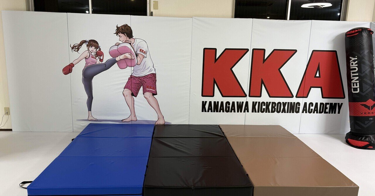 柔道 柔術 相撲 レスリング 投げ込み マット 引取限定】大型