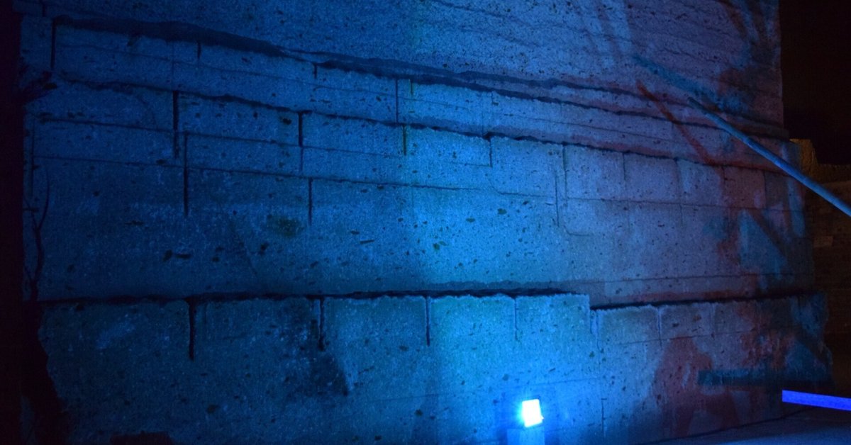 貴重 レコード 2枚組〔 堀込高樹  Ground 〕キリンジ 原田郁子 貴重 レコード 2枚組〔 堀込高樹 Home Ground 〕キリンジ 原田