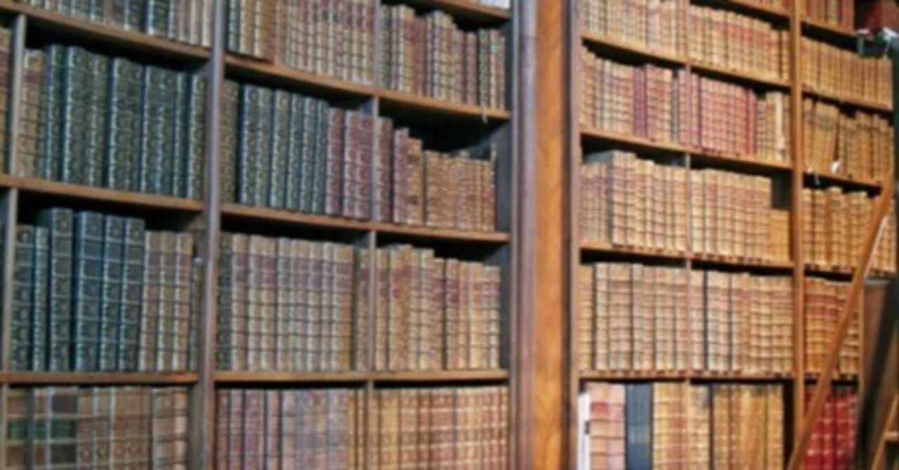 日本十進分類法とは？図書館の蔵書を分類する方法｜デジタルな図書館司書