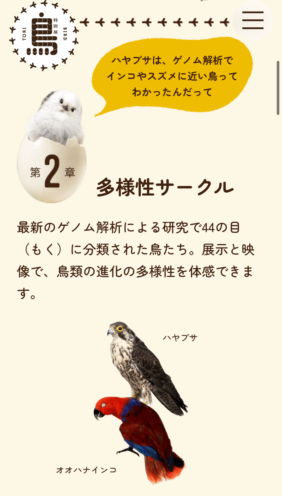 鳥好きっ！ 鳥展_鳥好き_国立科学博物館_東京上野｜H I_