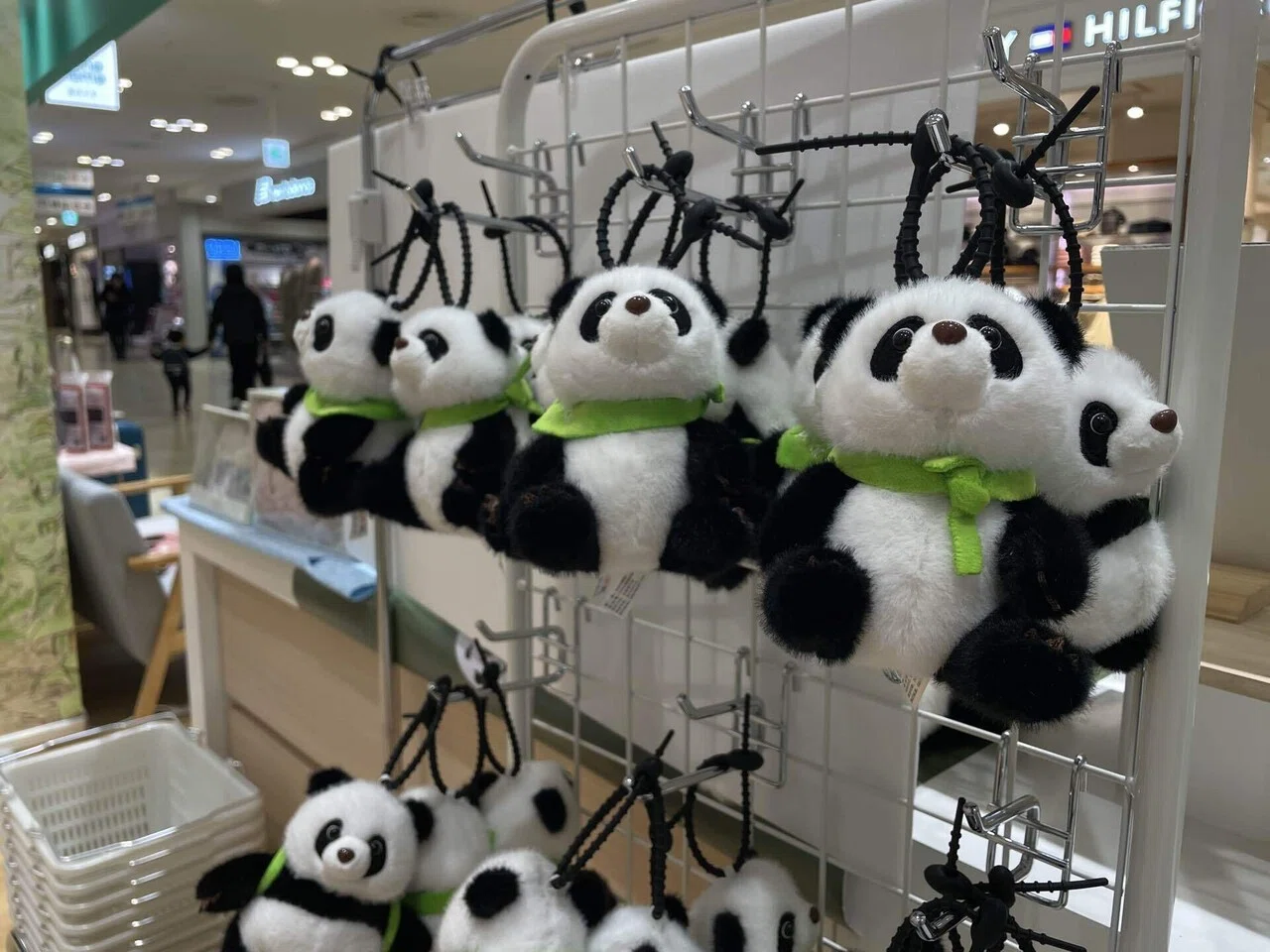 立藤株式会社×日本パンダ連盟台場展示エリア完成！ 🐼｜立藤