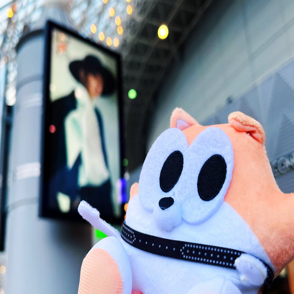 ネタバレあり】Nissy『BEST DOME TOUR』@東京｜LEO