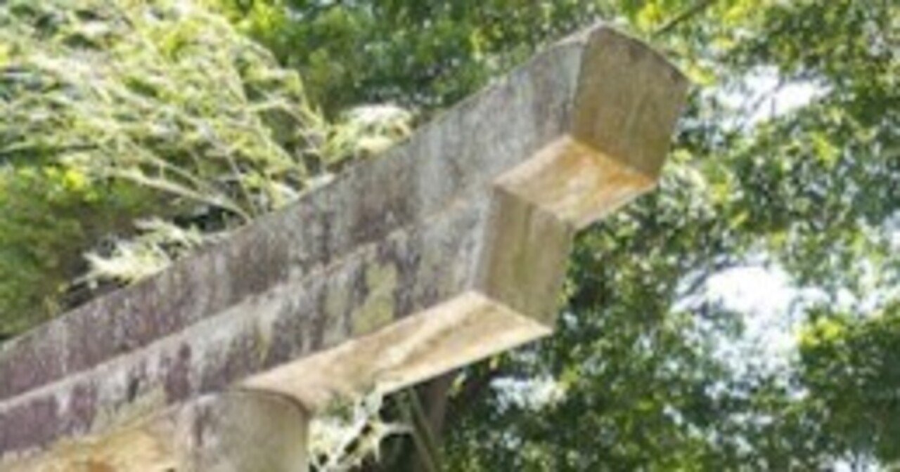 お賽銭に相応しい金額とは。。。？｜あやりん