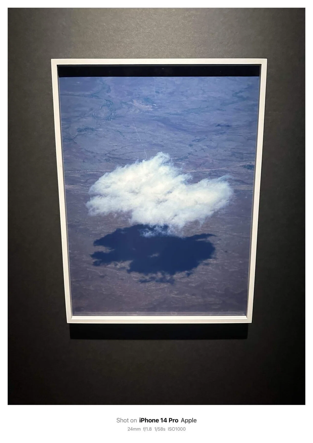 Viviane Sassen ヴィヴィアン・サッセンPHOSPHOR｜発光体：アート