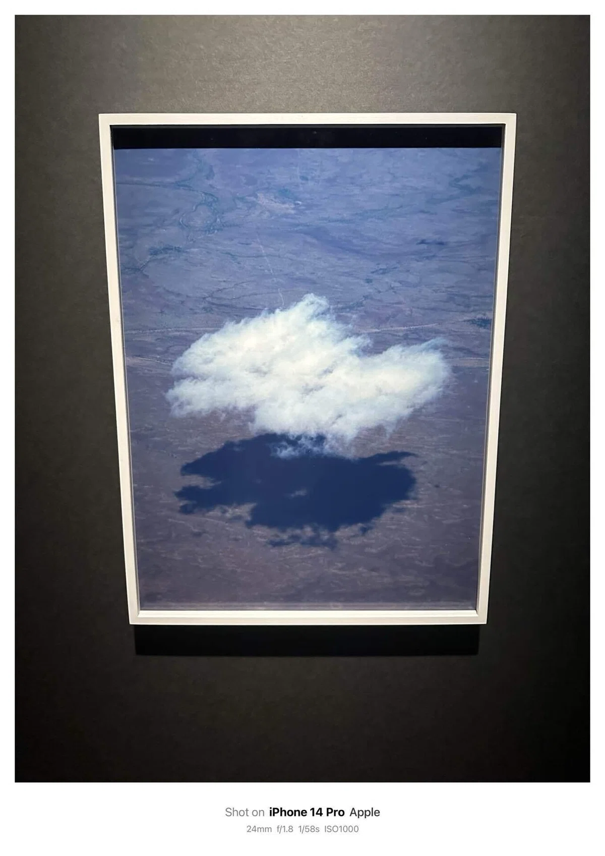 Viviane Sassen ヴィヴィアン・サッセンPHOSPHOR｜発光体：アート 