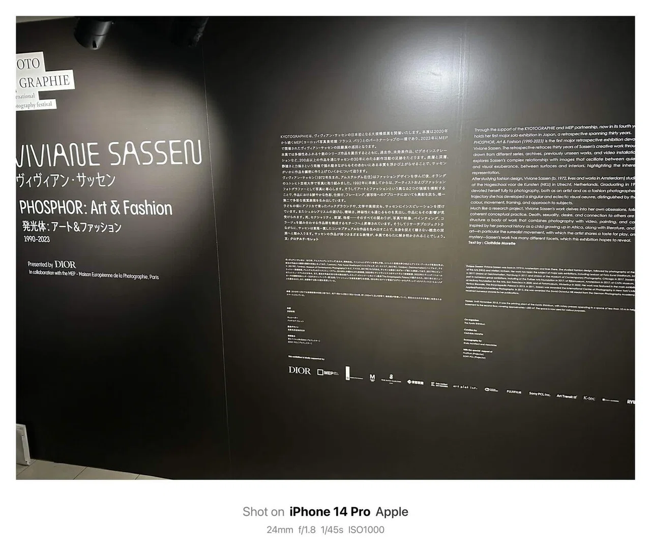 Viviane Sassen ヴィヴィアン・サッセンPHOSPHOR｜発光体：アート