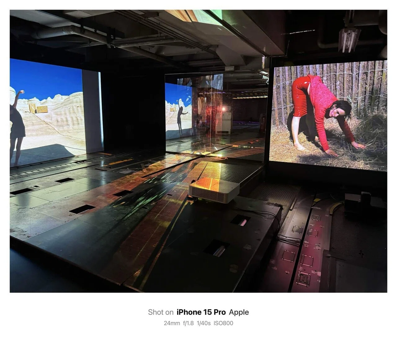 Viviane Sassen ヴィヴィアン・サッセンPHOSPHOR｜発光体：アート