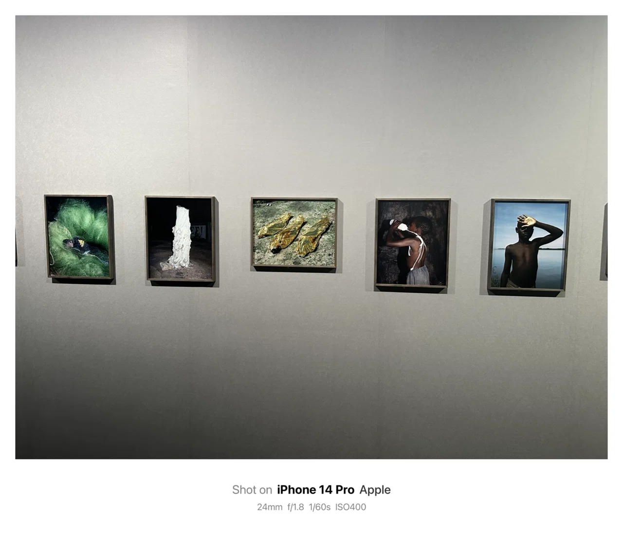 Viviane Sassen ヴィヴィアン・サッセンPHOSPHOR｜発光体：アート