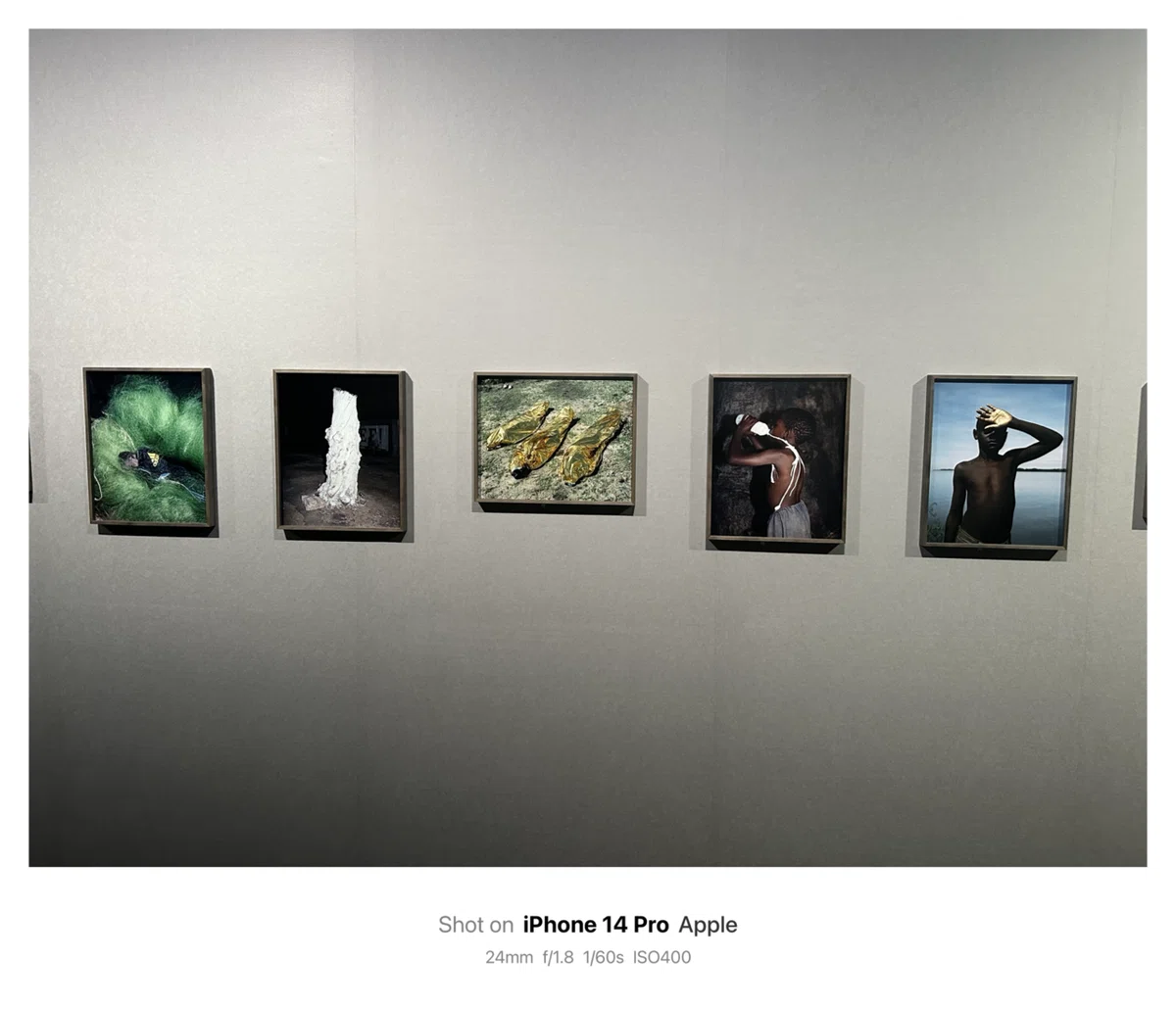 Viviane Sassen ヴィヴィアン・サッセンPHOSPHOR｜発光体：アート