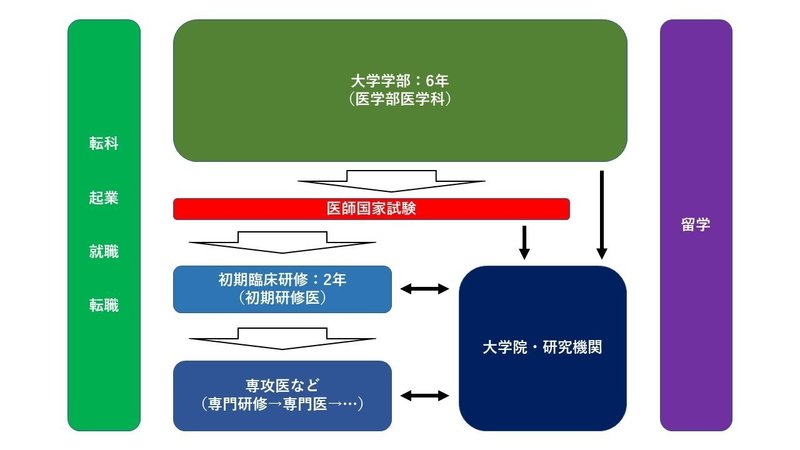 大学受験 医師が再考する 医学部の偏差値は関係ない のウソホント Yuki Note