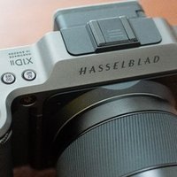 Hasselblad 203FEとCFVII 50Cで撮影してみました|Naoto Takazawa Hasselblad 203FEとCFVII 50Cで撮影してみました|Naoto Takazawa