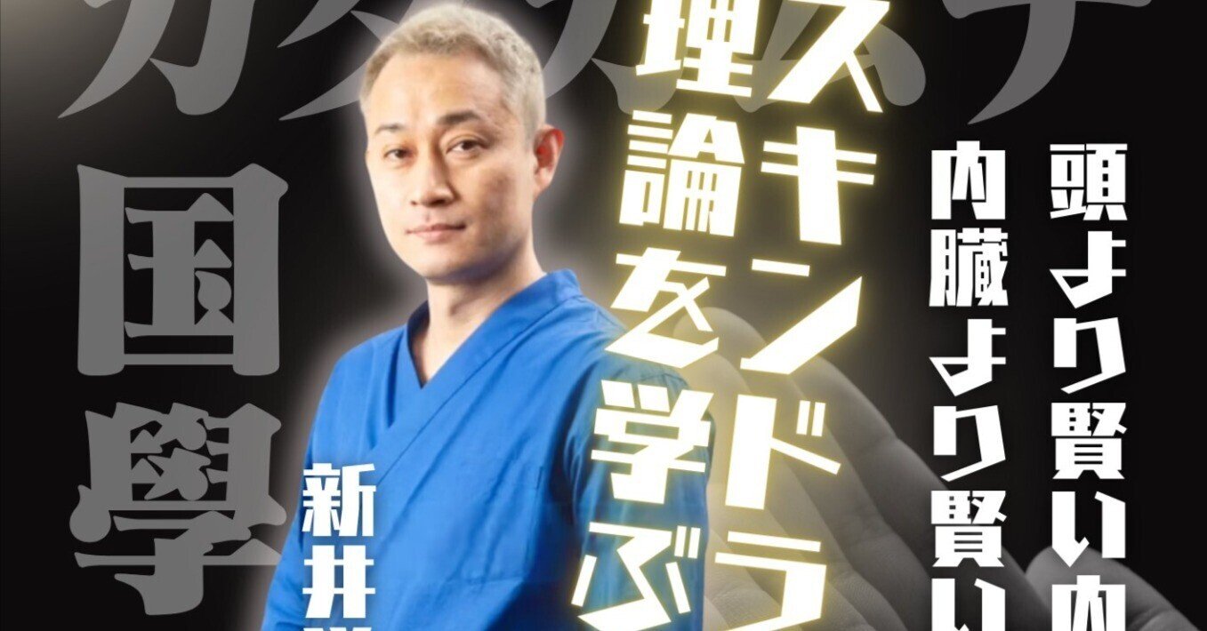 スキンドライブシステムセミナーDVD 新井洋次先生